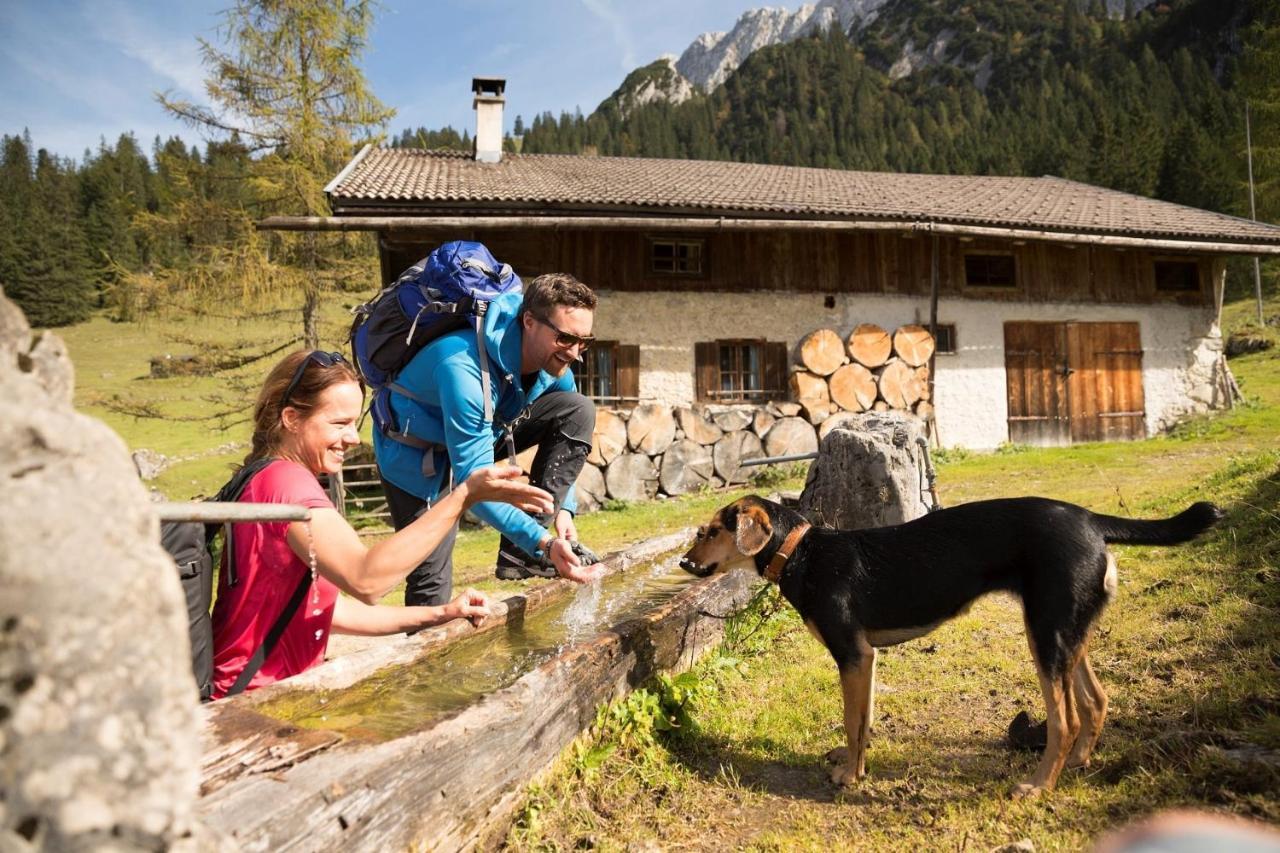 Alpenlodge, Ferienwohnung 16 Thiersee Exterior foto